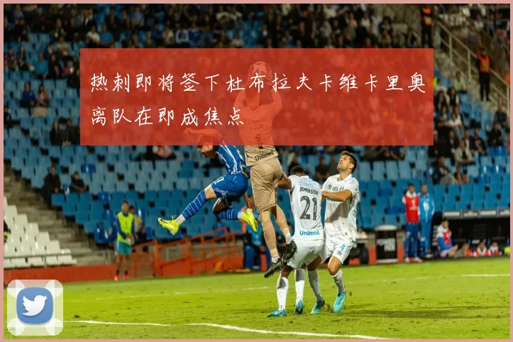 热刺即将签下杜布拉夫卡维卡里奥离队在即成焦点