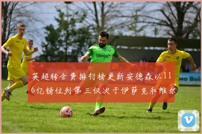 英超转会费排行榜更新安德森以116亿镑位列第三仅次于伊萨克和维尔茨