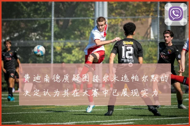 费迪南德质疑图赫尔未选帕尔默的决定认为其在大赛中已展现实力